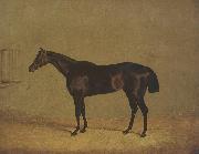 John Frederick Herring The Racehorse 'Mulatto' in A Stall oil painting artist